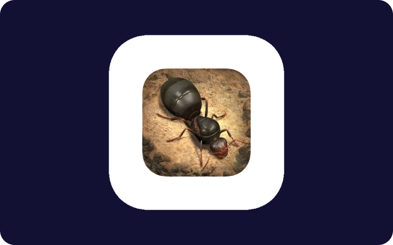 The Ants Underground Kingdom